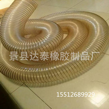 SAN值狂掉警告!呆萌小鱼腹部吸盘竟然长着一圈“牙”